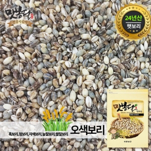 맛봉달 오색보리 청보리 늘찰보리 쌀찰보리 국내산 5kg_이미지