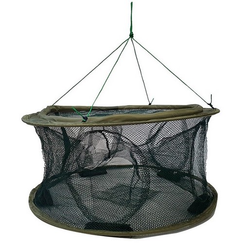 ���ں� ���� ���� ��� 7��