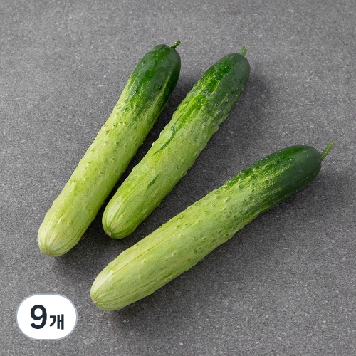 곰곰 국내산 백오이 3입 (3개)_이미지