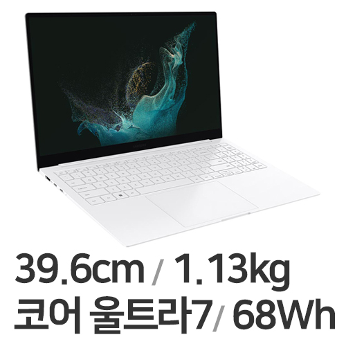 삼성전자 갤럭시북 프로 SE NT950XGQ-A71A (SSD 1TB)