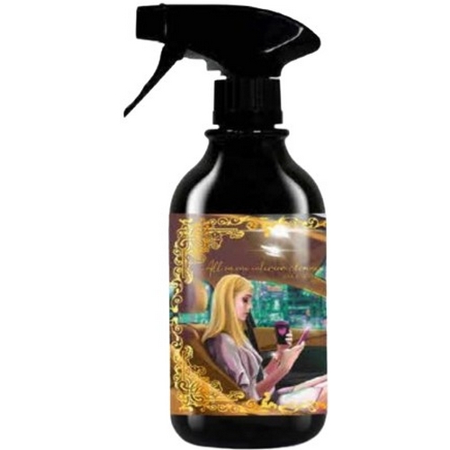 카티바 실내 세정 코팅제 500ml (1개)_이미지