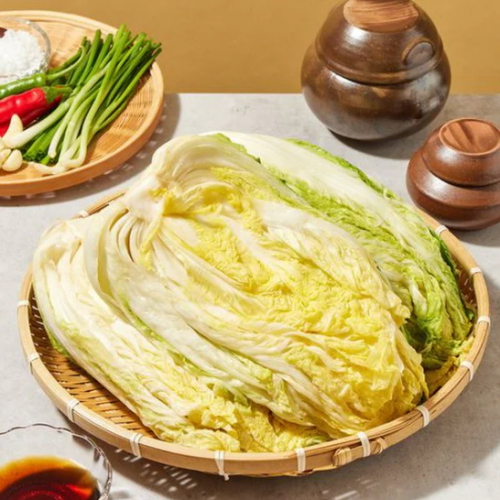 신세계푸드 올반키친 절임배추10kg