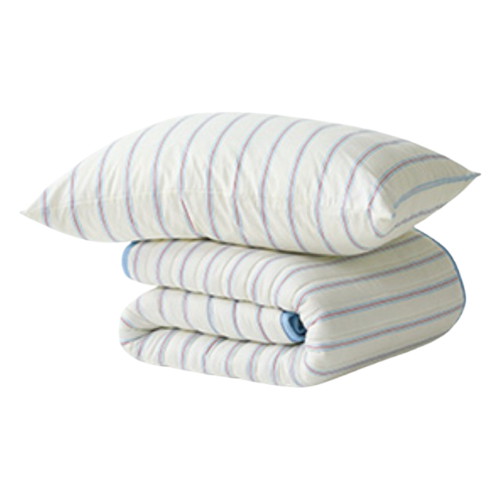 보국전자 버니글로우 소다블루 탄소 전기요 BKB-4203 (더블, 135x180cm)