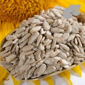 해바라기씨 500g