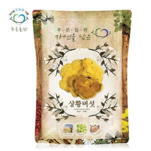 푸른들판 국내산 장수 상황 버섯 100g 원물 덩어리 진흙버섯