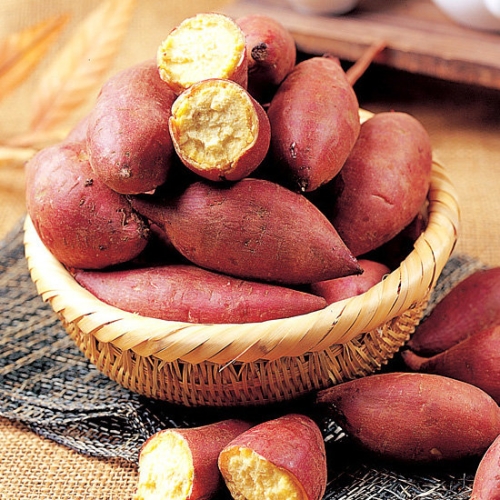 팜투맘 밤고구마 3kg 한입