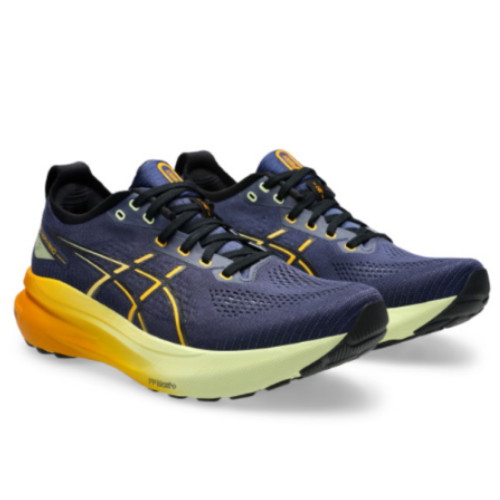 아식스 젤 카야노 31 2E 1011B869-403_이미지