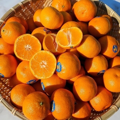 [불명] A테이블 미국산 오렌지 만다린 감귤 10과 내외 10kg (1개)