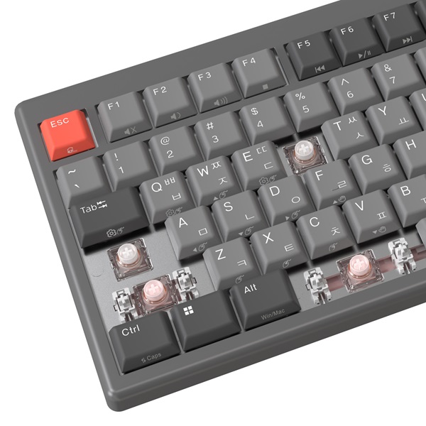 ���� LKN99 BT �ο� �������� ���� ������