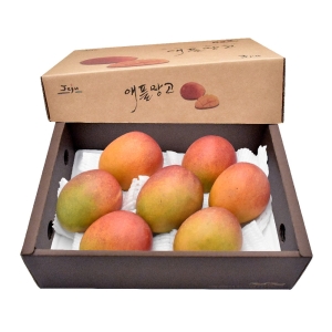 삼다몰 제주 애플망고 특대 3kg_이미지