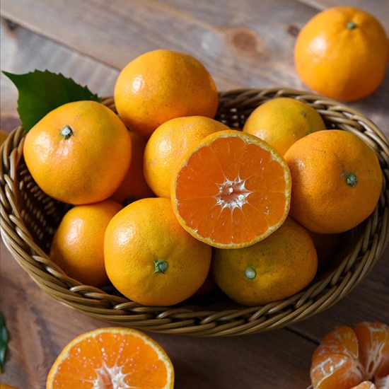 자연맛남 햇 노지감귤 중대과 9kg (1개)_이미지