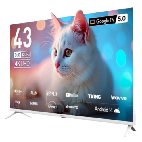 �������ڸ��� CP43G5W