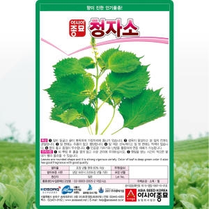 아시아종묘 청자소 씨앗 자소 씨 종자 3g_이미지