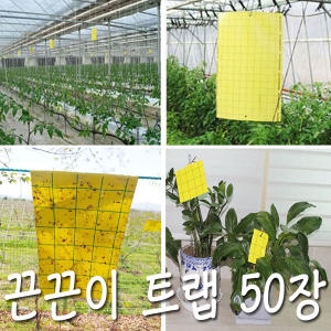 [�Ҹ�] ������ ��������Ʈ�� 50��