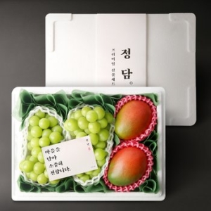 정담 샤인머스켓 애플망고 선물세트 1호 샤인2송이, 애플망고2개