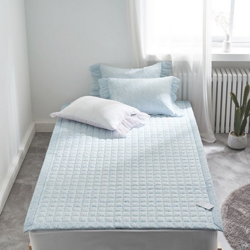 ���̴�Ȩ �ƹ� �ֳ� �ð� ������ī ħ���е�