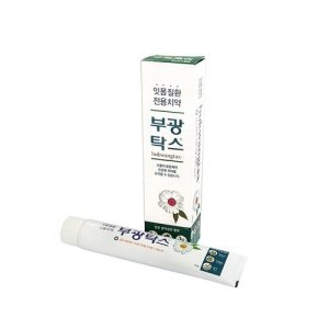 부광약품 부광탁스 치약 100g (4개)_이미지