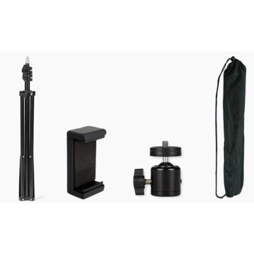 Ƽ�غ� 2m ���ﰢ��