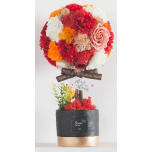 �ö��Ʈ�� ī���̼����Ǿȭ��set ���� 37cm