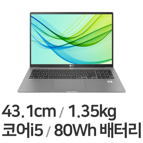 LG전자 2021 그램17 17ZD95N-GX5SK WIN11 (SSD 500GB + SSD 256GB)