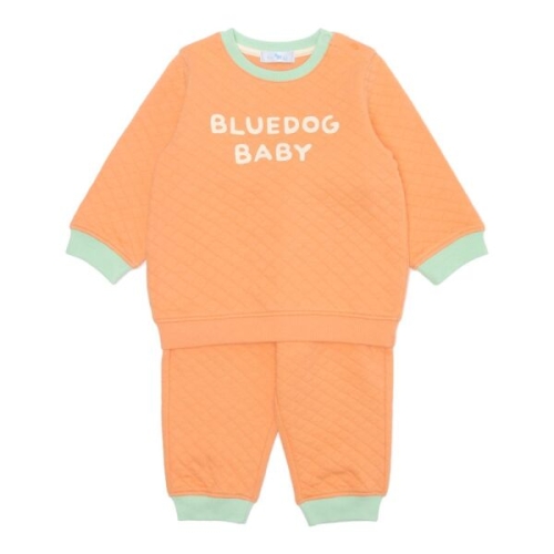 블루독베이비 컬러퀼팅상하복 43C70-672-09_이미지