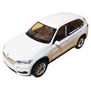 웰리 SUV BMW X5 자동차 화이트