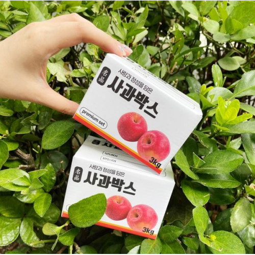 ���� �̴� ��� ���� �뵷�ڽ�
