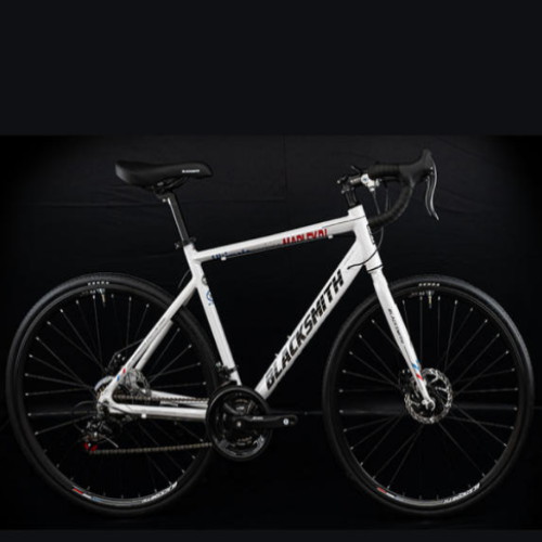 말리 R1 (2023년형)