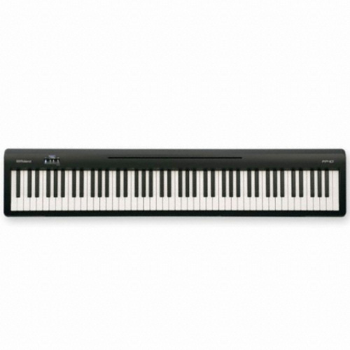 롤랜드 FP-10