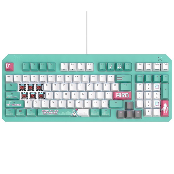 ASUS TUF Gaming K3 Gen II �����׹��� �����