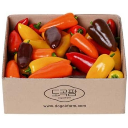 도곡팜 미니 파프리카 1.2kg (1개)_이미지