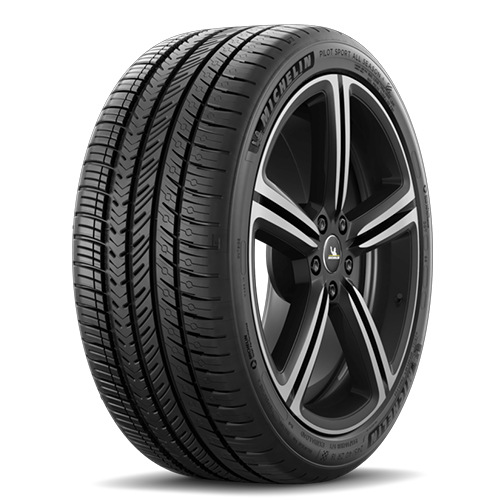 �̽���Ÿ�̾� ���Ϸ� ������ �ý���4 (PSAS4) 225/40R19
