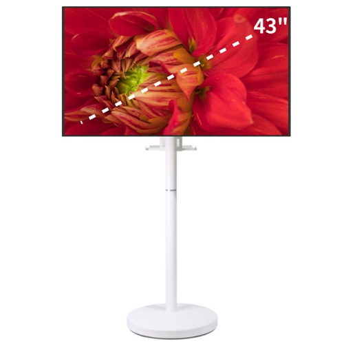 ���Ĺ��̹� �̵��� TV���ĵ�