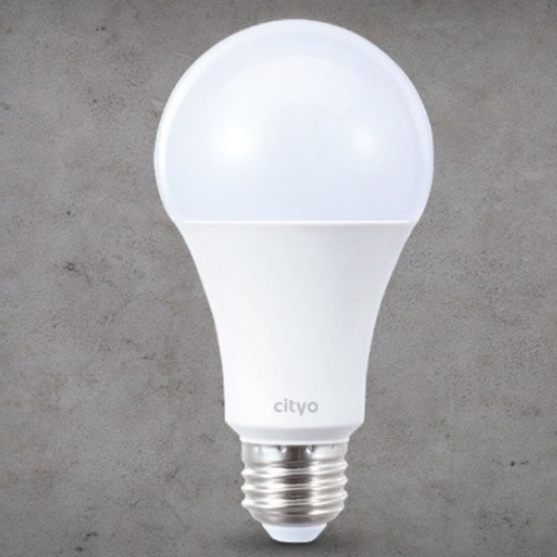 씨티오  LED 벌브전구 주광색 15W (10개)