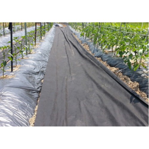 세원비닐 텃밭용 흑색 부직포 (80cm x 10m)_이미지