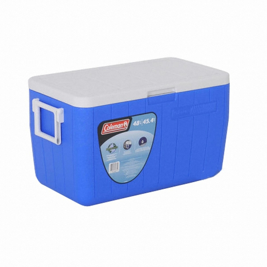 �ݸ� 48���� ���� ����Ʈ ��