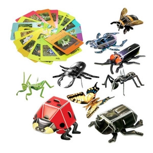 스콜라스 교과서에나오는한국의곤충들 EDU-10872