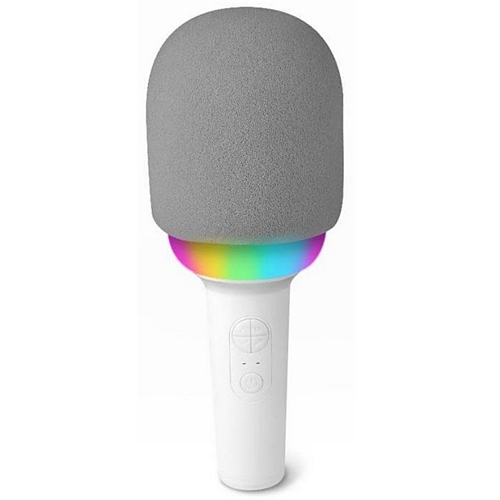 ���̿��� SING US MINI