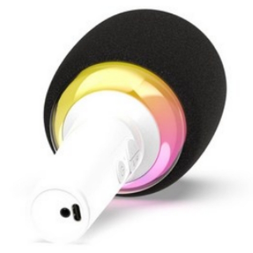 ���̿��� SING US MINI