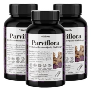 어스빌 파비플로라 흑생강 블랙진저 500mg 120캡슐 (3개)_이미지