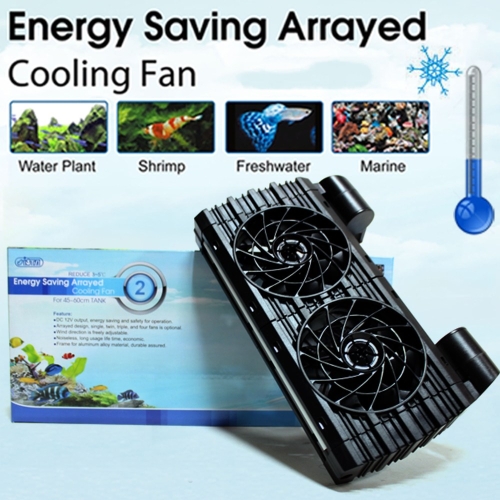 �̽�Ÿ �̽�Ÿ ���� 2/4/6�� ������������  /������ ���� ���� �ð��� ����� ���� ���� �ؼ��� �µ������� CRS