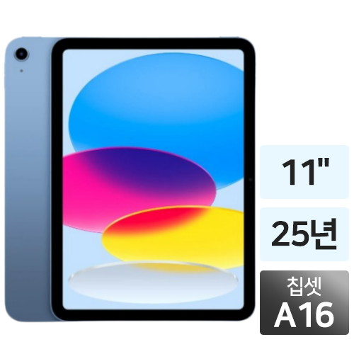 APPLE  2025 iPad A16 11세대 (256GB)