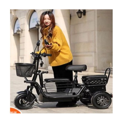 하이모터 미니 전동 오토바이 3인승 해외구매 (12Ah)_이미지