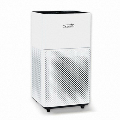 대우글로벌 그린루프트 에이퓨어 DGP-6100_이미지