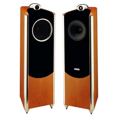 탄노이 Dimension TD10_이미지