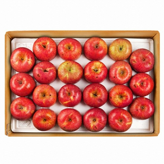 한우리영농조합 장길영사과 알뜰사과 33~46과(개) 중소과 10kg (1개)