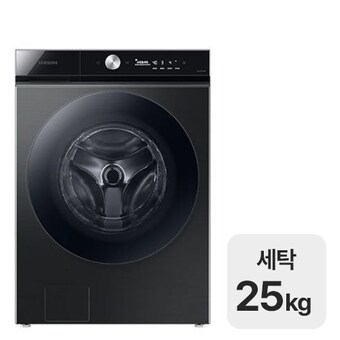 삼성전자 비스포크 그랑데AI <b>WF25B8400KV</b>