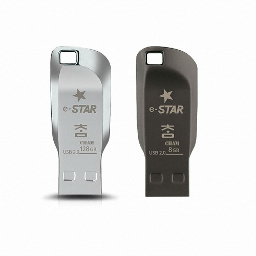 디지탈그리고나 e-STAR CHAM USB 2.0 (8GB)_이미지
