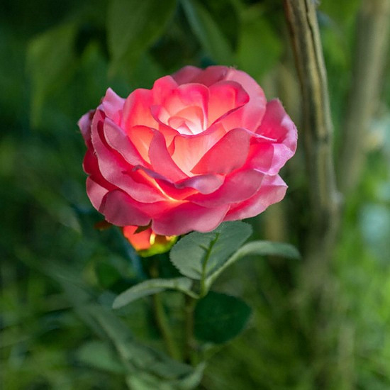 LED 태양광 핑크 장미 정원등