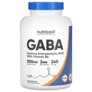 ��Ʈ���ڽ�Ʈ GABA ��Ÿ��B6 ���� 500mg 240ĸ��